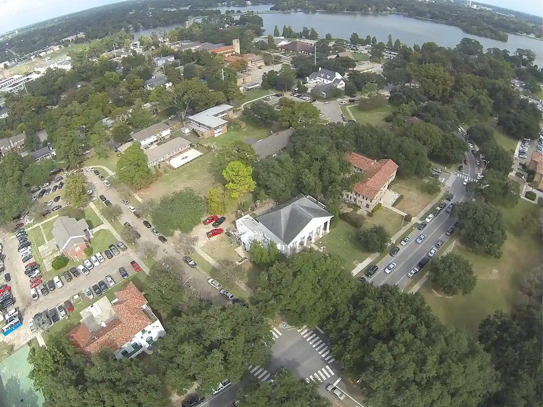 Tree services in LSU & University Lakes