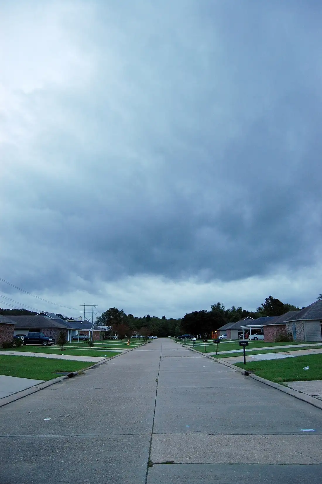 Tree service area - Zachary