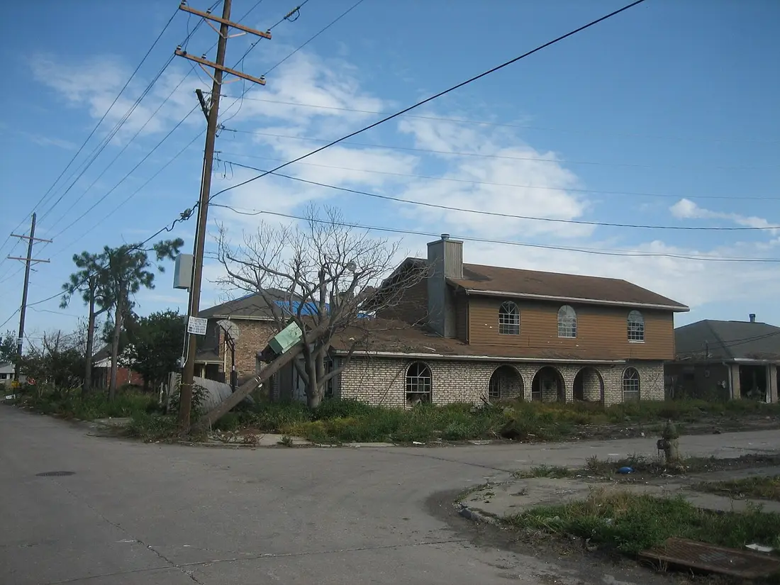 Emergency Tree Service in Baton Rouge