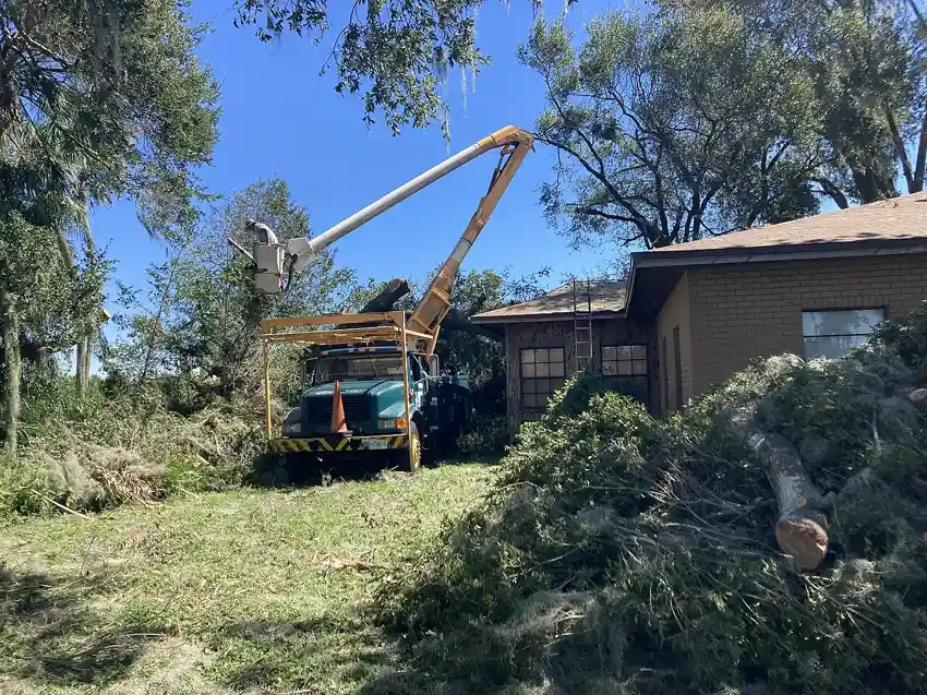 Storm Damage Cleanup in Baton Rouge