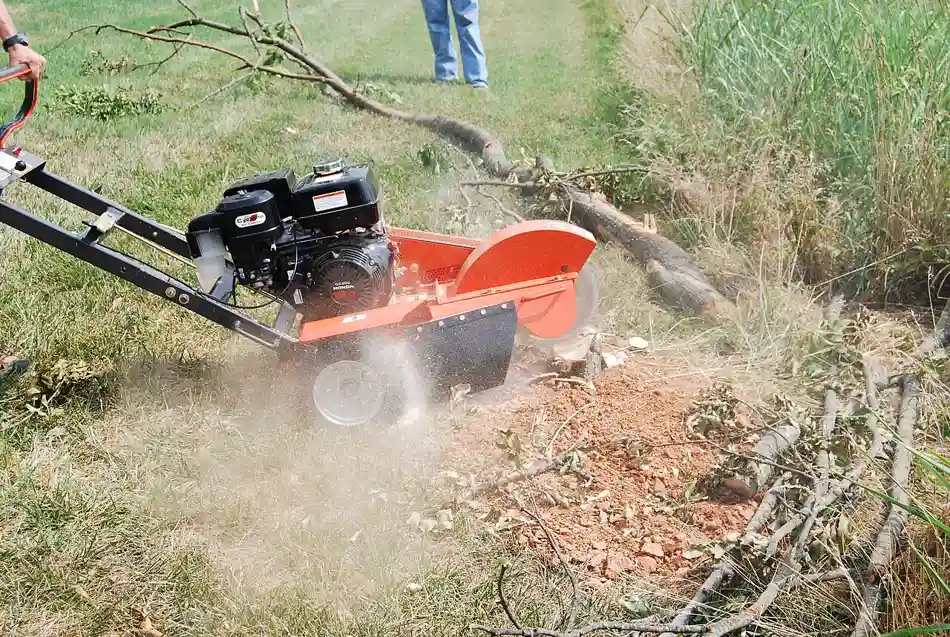Stump Grinding & Removal in Baton Rouge